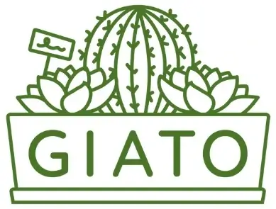 Giato Cactos e Suculentas